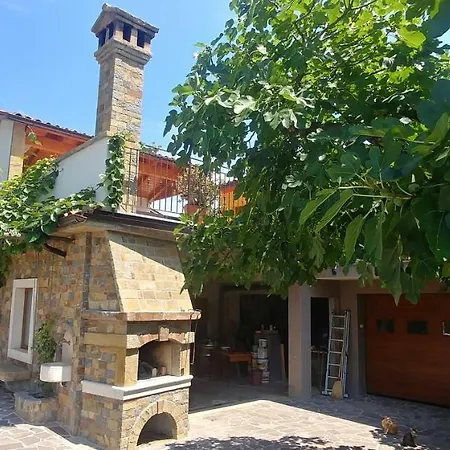 Kmetija Jogan, Wines & Farm stay
